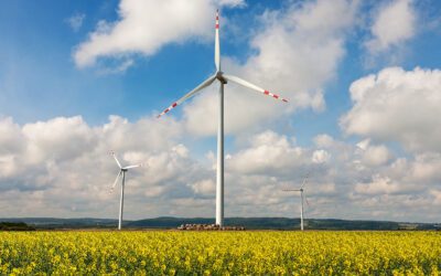 Ny dom om infrastrukturselskaber for vindmøller